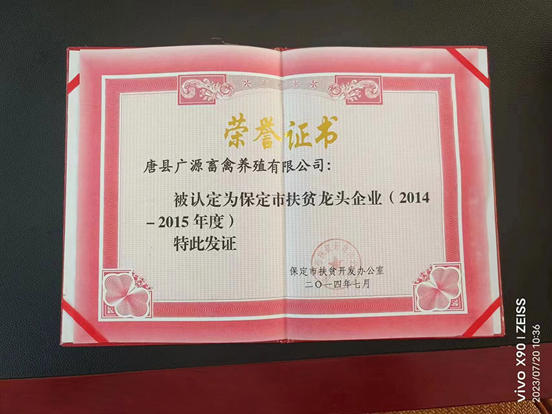 荣誉证书