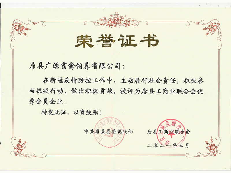 荣誉证书