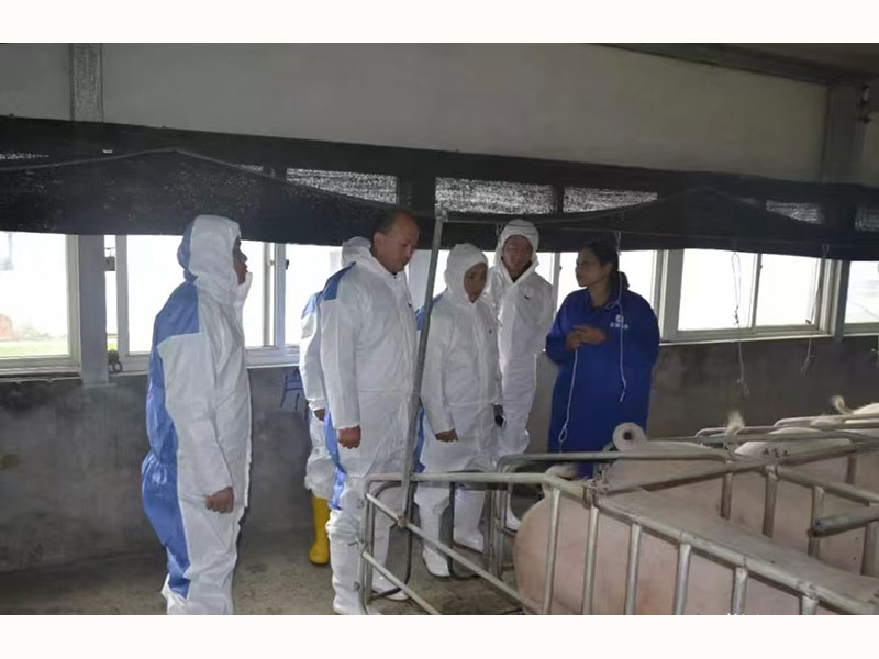 帮扶周边养殖场