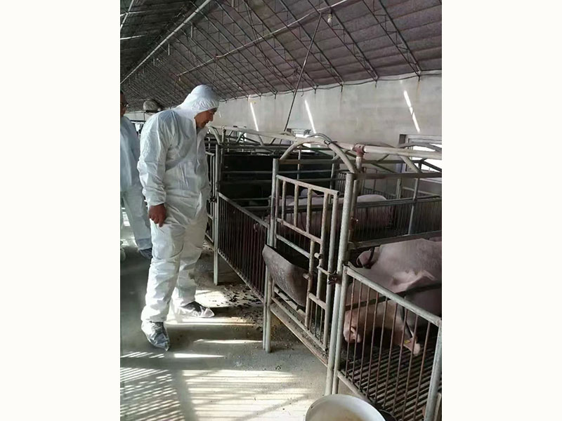 帮扶周边养殖场