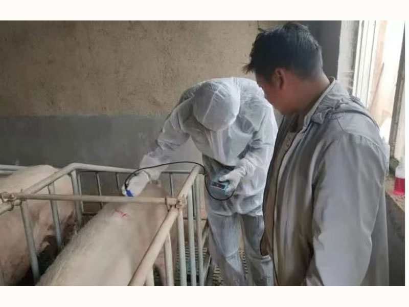 帮扶周边养殖场