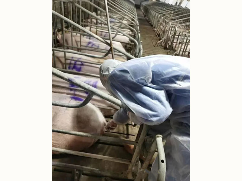 帮扶周边养殖场